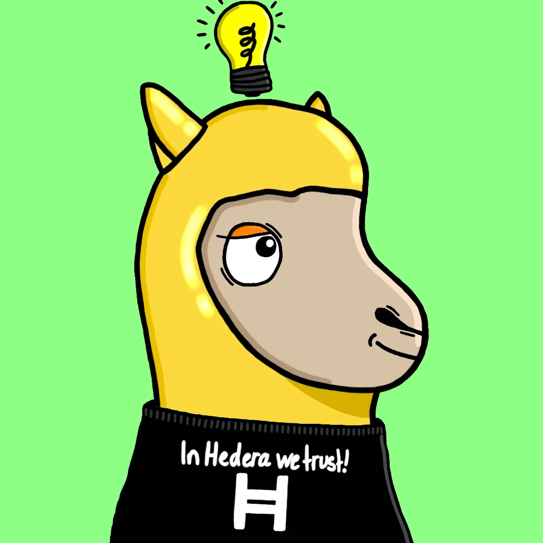 Lame Lamas #1