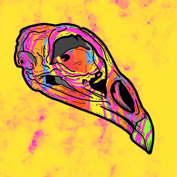 Hippy Skulls- Custom Editions avatar